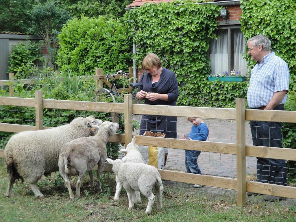 B&B De Passerel Bree Bagian luar foto