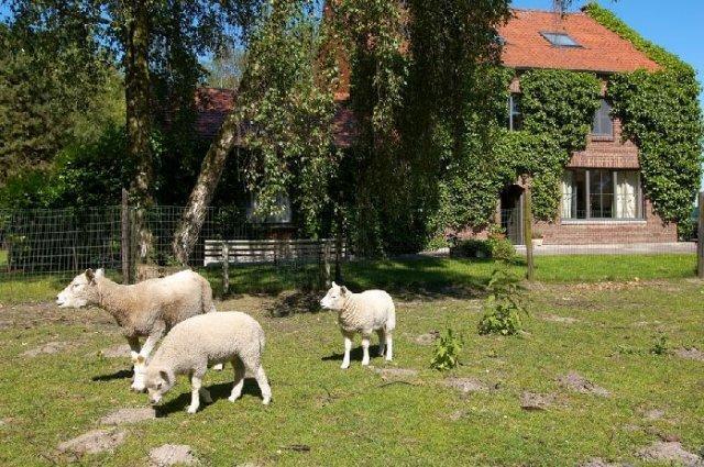 B&B De Passerel Bree Bagian luar foto