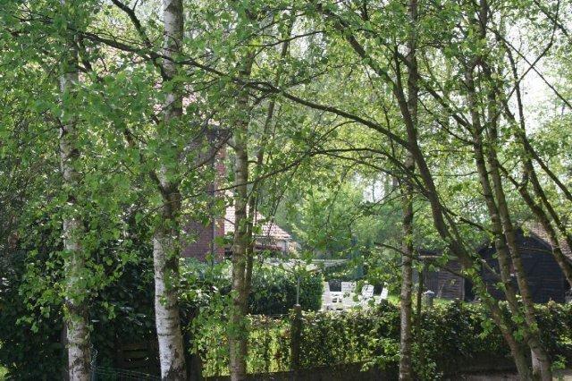 B&B De Passerel Bree Bagian luar foto