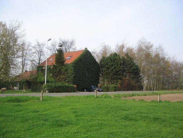 B&B De Passerel Bree Bagian luar foto